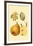 Ripe for Harvest II-Heinrich Pfeiffer-Framed Art Print