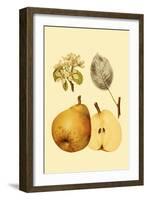 Ripe for Harvest II-Heinrich Pfeiffer-Framed Art Print