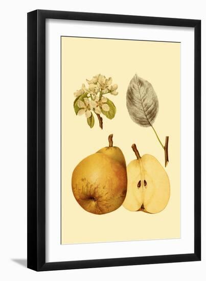 Ripe for Harvest II-Heinrich Pfeiffer-Framed Art Print