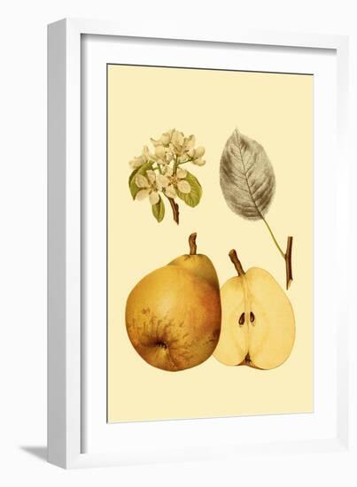 Ripe for Harvest II-Heinrich Pfeiffer-Framed Art Print