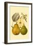 Ripe for Harvest III-Heinrich Pfeiifer-Framed Art Print