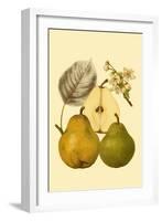 Ripe for Harvest III-Heinrich Pfeiifer-Framed Art Print