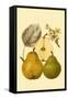 Ripe for Harvest III-Heinrich Pfeiifer-Framed Stretched Canvas