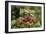 Ripe Fruit Hanging From a Raspberry Bush-Kaj Svensson-Framed Photographic Print