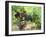 Ripe Grapes in the Vineyard, Domaine Pech-Redon, Coteaux Du Languedoc La Clape-Per Karlsson-Framed Premium Photographic Print