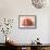 Ripe Peaches-Carol Rowan-Framed Stretched Canvas displayed on a wall