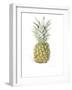 Ripe Pineapple, 2016-Alison Cooper-Framed Giclee Print