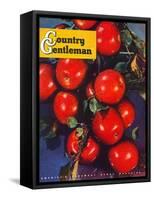 "Ripe Red Apples," Country Gentleman Cover, October 1, 1947-Jon Fujita-Framed Stretched Canvas