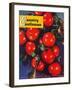 "Ripe Red Apples," Country Gentleman Cover, October 1, 1947-Jon Fujita-Framed Giclee Print