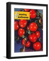 "Ripe Red Apples," Country Gentleman Cover, October 1, 1947-Jon Fujita-Framed Giclee Print