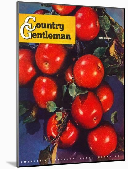 "Ripe Red Apples," Country Gentleman Cover, October 1, 1947-Jon Fujita-Mounted Giclee Print