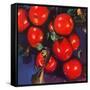 "Ripe Red Apples,"October 1, 1947-Jon Fujita-Framed Stretched Canvas