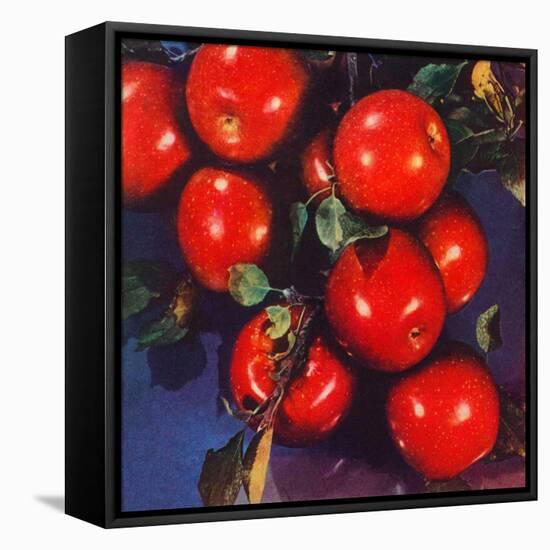 "Ripe Red Apples,"October 1, 1947-Jon Fujita-Framed Stretched Canvas