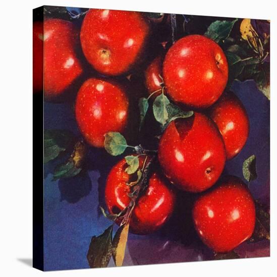 "Ripe Red Apples,"October 1, 1947-Jon Fujita-Stretched Canvas