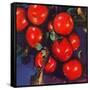 "Ripe Red Apples,"October 1, 1947-Jon Fujita-Framed Stretched Canvas