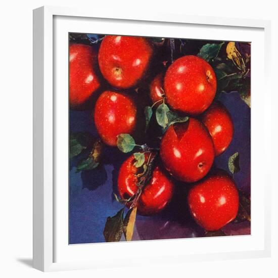 "Ripe Red Apples,"October 1, 1947-Jon Fujita-Framed Giclee Print