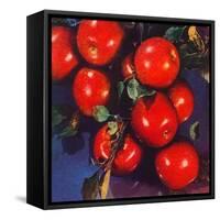 "Ripe Red Apples,"October 1, 1947-Jon Fujita-Framed Stretched Canvas