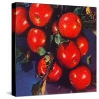 "Ripe Red Apples,"October 1, 1947-Jon Fujita-Stretched Canvas