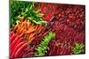 Ripe Red Thai Peppers Display-null-Mounted Art Print