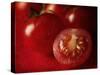 Ripe Red Tomatoes-Steve Lupton-Stretched Canvas