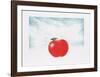 Ripe Sky-Hank Laventhol-Framed Limited Edition