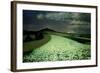 Ripe Wheatfields-August Overbeck-Framed Giclee Print