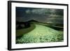 Ripe Wheatfields-August Overbeck-Framed Giclee Print