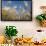 Ripening Heads of Soft White Wheat, Palouse Region of Washington-Greg Probst-Framed Photographic Print displayed on a wall