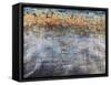 Ripple Effect-Alexys Henry-Framed Stretched Canvas