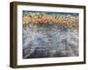 Ripple Effect-Alexys Henry-Framed Giclee Print