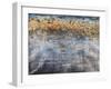 Ripple Effect-Alexys Henry-Framed Giclee Print