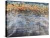 Ripple Effect-Alexys Henry-Stretched Canvas