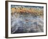 Ripple Effect-Alexys Henry-Framed Giclee Print