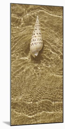 Ripple Shell I-Tony Koukos-Mounted Giclee Print
