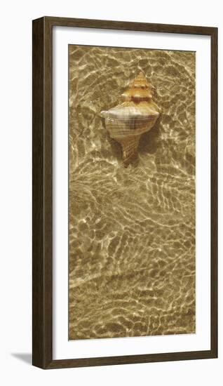 Ripple Shell IV-Tony Koukos-Framed Giclee Print