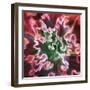 Rippled Edges-Jan Bell-Framed Photographic Print