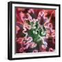 Rippled Edges-Jan Bell-Framed Photographic Print