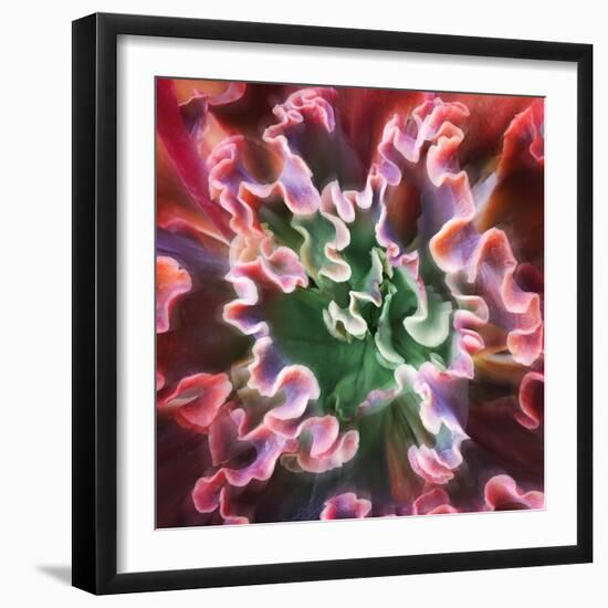 Rippled Edges-Jan Bell-Framed Premium Photographic Print