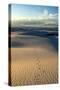 Rippled Gypsum, Sand Dunes in the White Sands National Monument, New Mexico, USA-Michael Runkel-Stretched Canvas