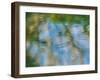 Rippled reflection in pond-Merrill Images-Framed Photographic Print