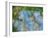 Rippled reflection in pond-Merrill Images-Framed Photographic Print
