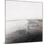 Ripples and Wire, West Sands, St Andrews, East Neuk Of Fife-null-Mounted Giclee Print