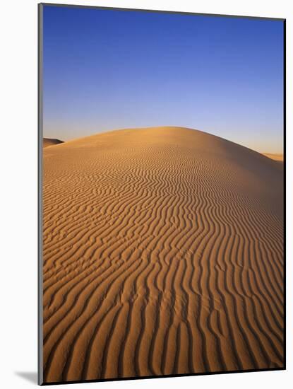 Ripples Covering Sand Dune-James Randklev-Mounted Photographic Print