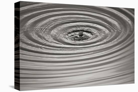 Ripples II-Tammy Putman-Stretched Canvas