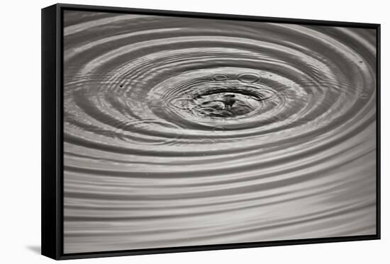 Ripples II-Tammy Putman-Framed Stretched Canvas