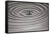 Ripples II-Tammy Putman-Framed Stretched Canvas