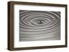 Ripples II-Tammy Putman-Framed Photographic Print