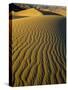 Ripples in Sand Dunes-Darrell Gulin-Stretched Canvas