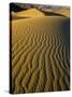 Ripples in Sand Dunes-Darrell Gulin-Stretched Canvas