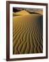 Ripples in Sand Dunes-Darrell Gulin-Framed Photographic Print